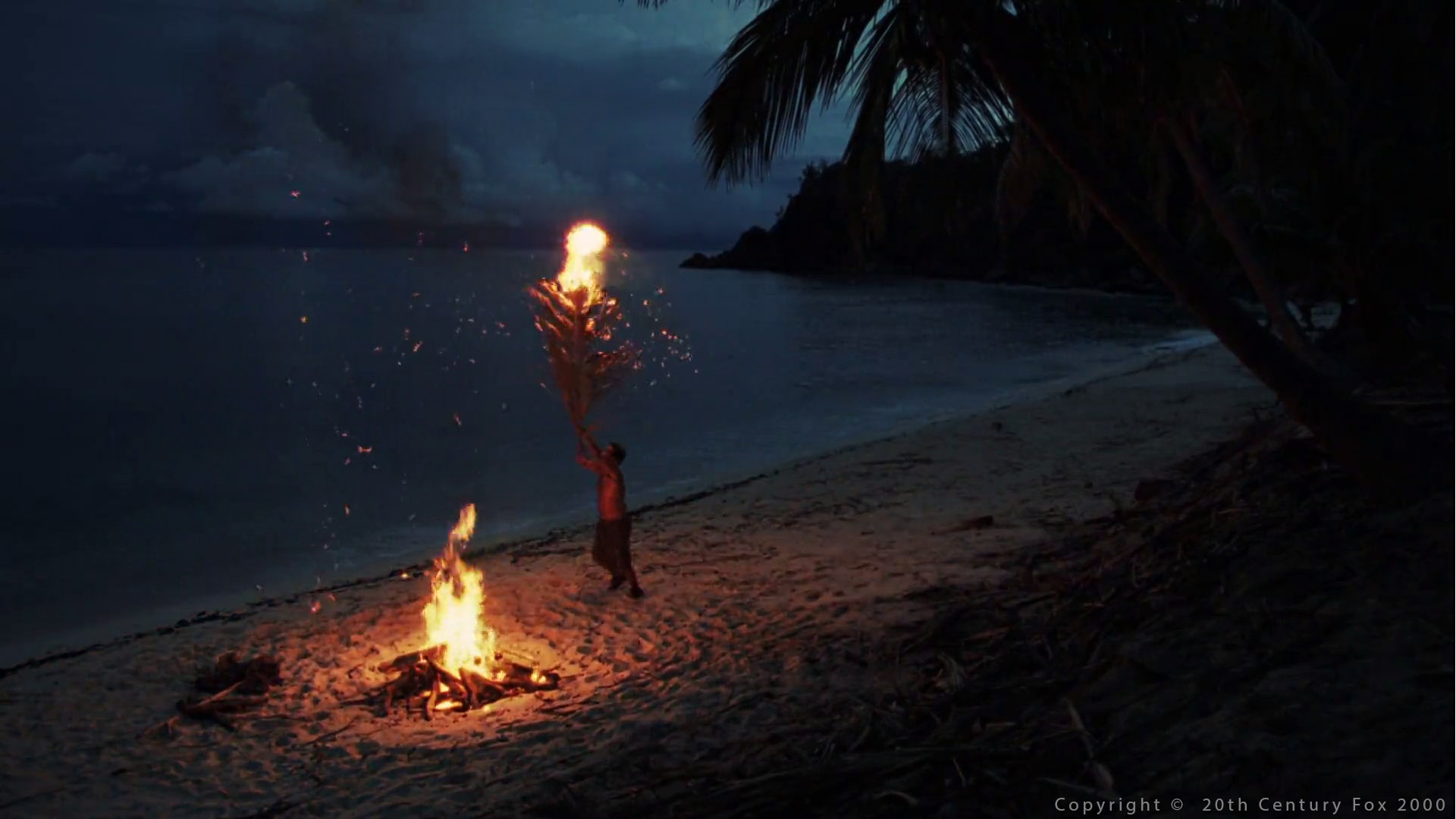 chapter 4 light categories chris brejon